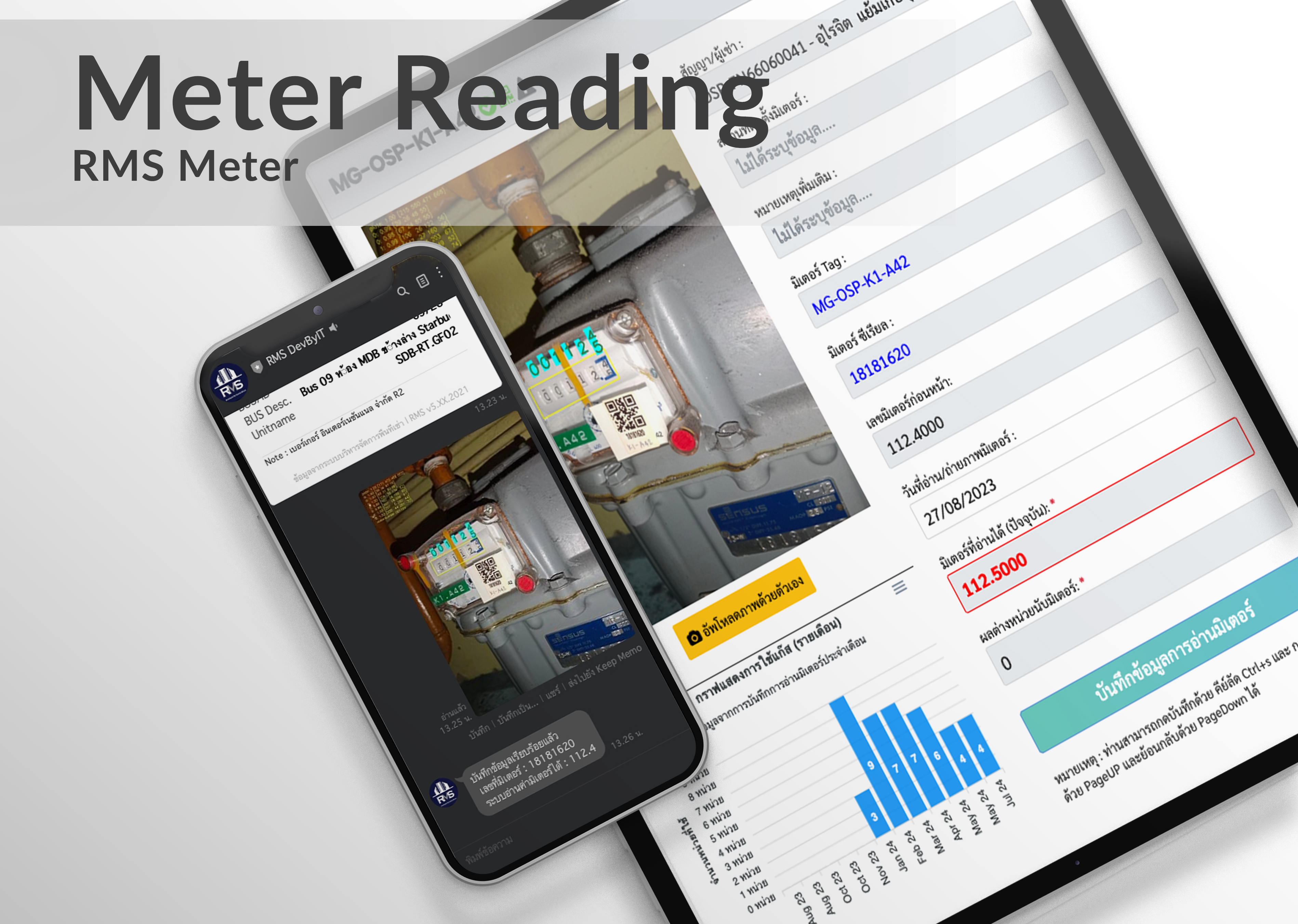Meter Reading